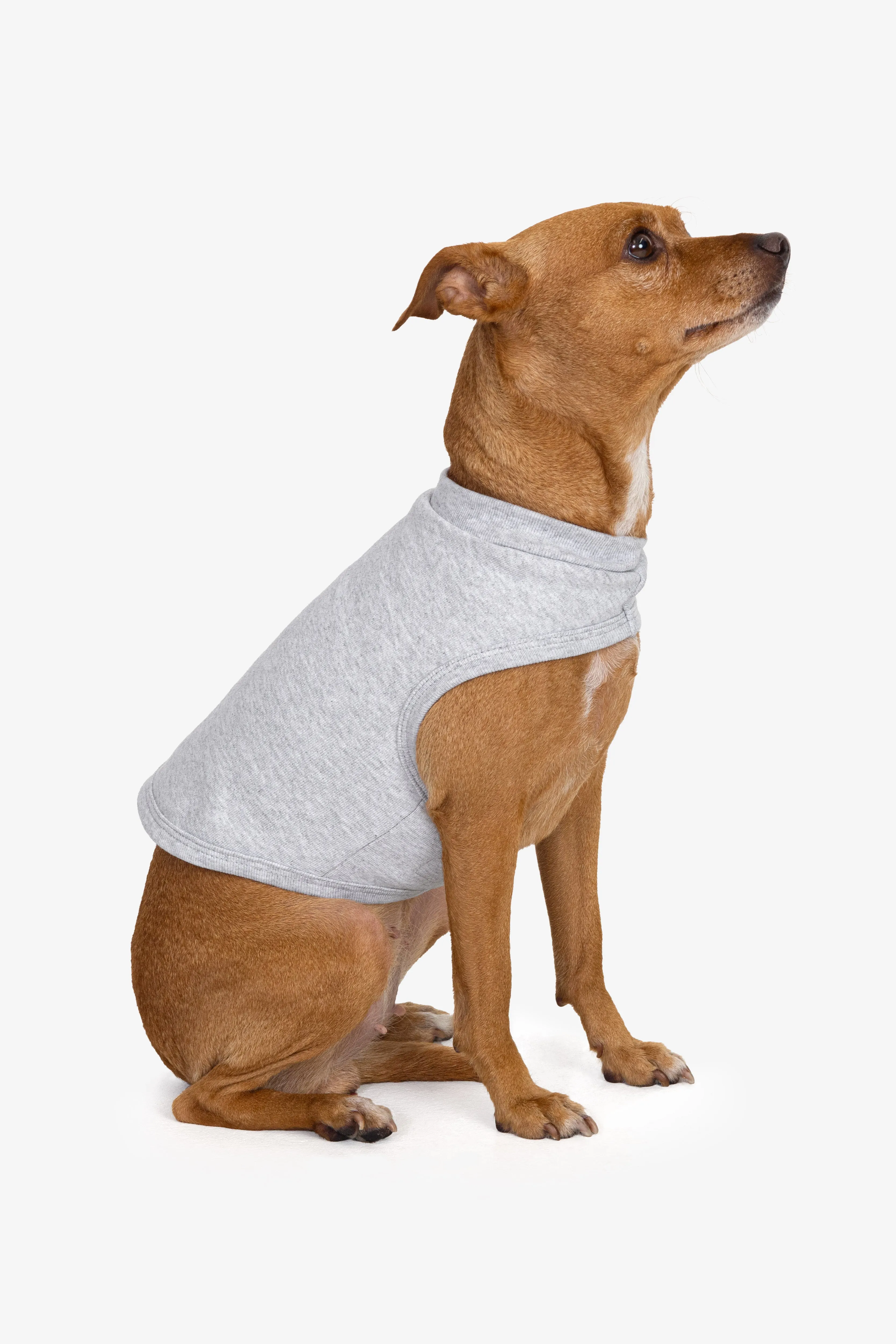 HFDOGVEST - Heavy Fleece Dog Vest