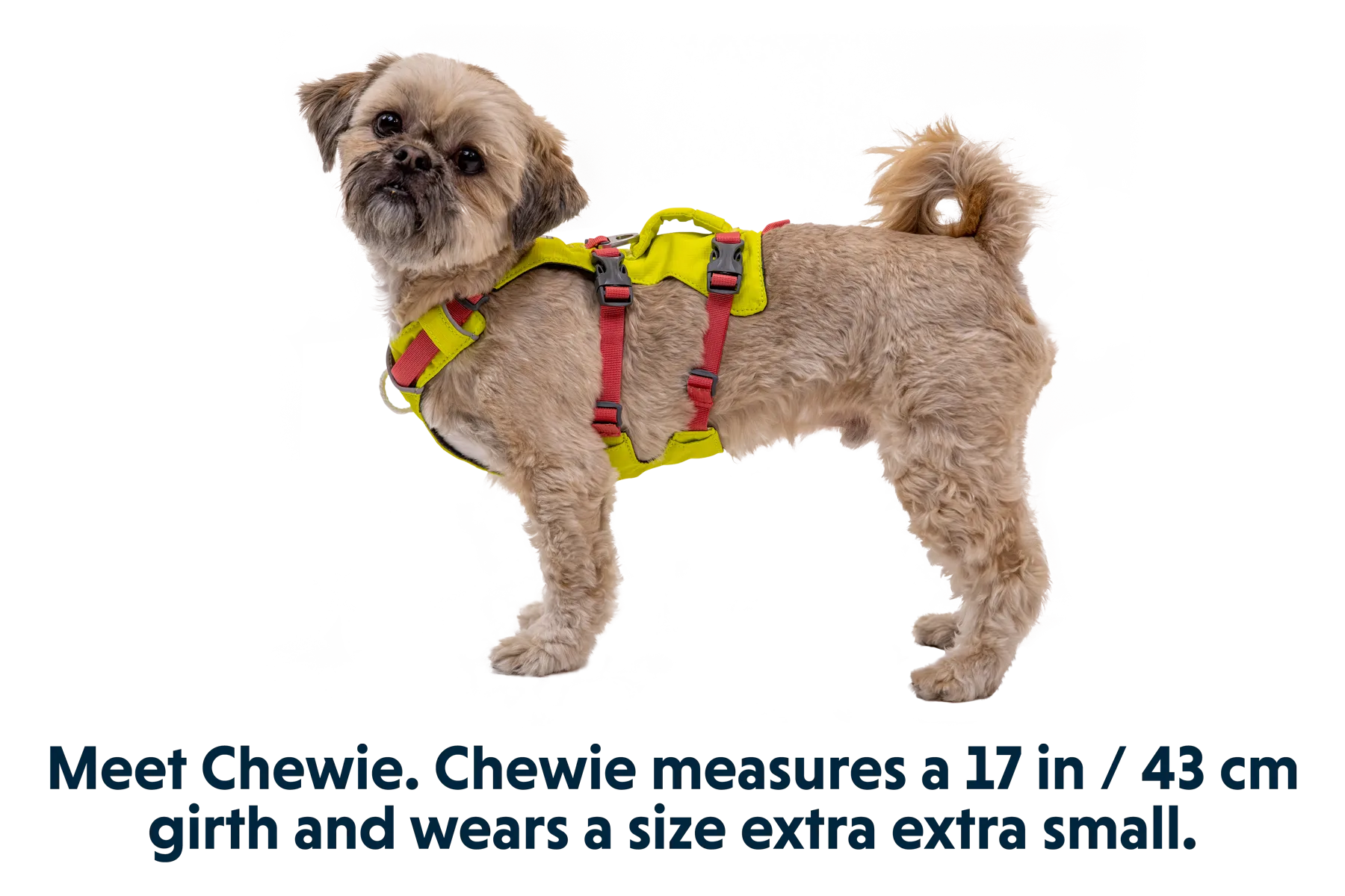 RP - Flagline™ Dog Harness with Handle